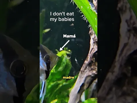 Mamá se come a sus bebés