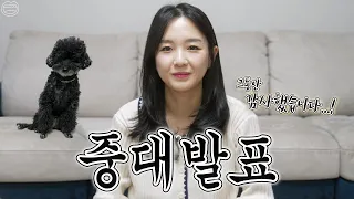 중대발표! 그동안 감사했습니다🙏