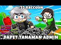 Download Lagu 33 RACCOON VS YOUTUBER ODO KENTANG! Niat Maling, Malah UPGRADE KEBUN di Grow a Garden?!