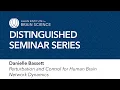 Danielle Bassett Allen Distinguished Seminar Series