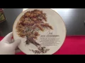 Vintage Collectible 1980 s Decorative Plates Collection