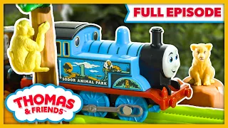 Thomas Plays Safari Guide! | Watch Out Thomas! | FULL EPISODE