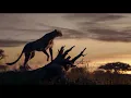 Lion King 2019 Music Video-Spirit (Beyonce)