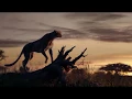 Download Lagu Lion King 2019 Music Video-Spirit (Beyonce)