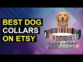 Top 5 Best Dog Collars On Etsy Top Dog Collars On Etsy