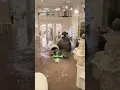 Historic Hotel Flooded by Raging Water