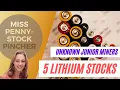 5 Lithium Stocks That Are Small and Still Unknown