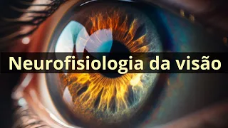 Neurofisiologia da visão (função receptora da retina) - Fisiologia Humana
