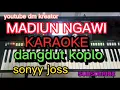 Download Lagu TERMINAL MADIUN NGAWI KARAOKE DANGDUT KOPLO NADA RENDAH