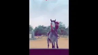 يا رب لا تجعل لنا موقف حالات واتس اب 2021 