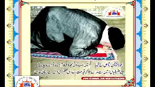 INCREASE YOUR SPIRITUALITY WITH SAJDAH Syed Abid Hussain Zaidi 