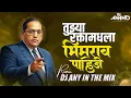 Lagu Tujhya Rakta Madhla | Run it Up | it's Dj Any In The Mix #bhimjayanti #anandshinde #bhimraoambedkar