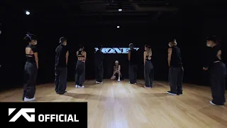 LISA MONEY DANCE PRACTICE VIDEO 