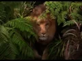 Download Lagu George Of The Jungle