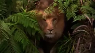 george of the jungle