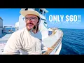60 Sportfishing Trip in Southern California Unbelievable Deal