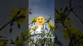 الإبتسامة في وجه أخيك صدقة Smile 