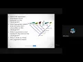 Cladogram Notes