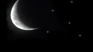 يارب محتاجلك 