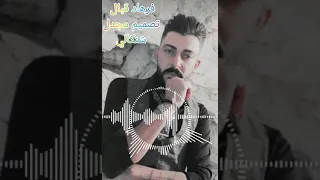 فرهاد قبال تصميم مجدل شنكالي 
