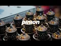 Lagu Pinion GmbH – Revolutionary Bicycle Drive Systems Made in Germany