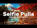 Anirudh Ravichander - Selfie Pulla (Lyrics)