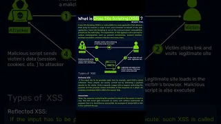 Understanding Cross Site Scripting XSS Cybersecurity Networking Shorts 