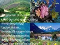 Orkes Sinar Murni, Nikmat Tuhan