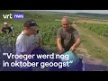 Druivenpluk in de Champagne is vroeg gestart