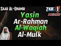 Download Lagu Surah Yasin,Surah Ar Rahman,Surah Al Waqiah,Surah Al Mulk By Sheikh Saad Al-Ghamdi