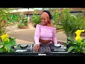 Download Lagu Greenhouse Sessions | MBALIVIBES – Amapiano DJ Set