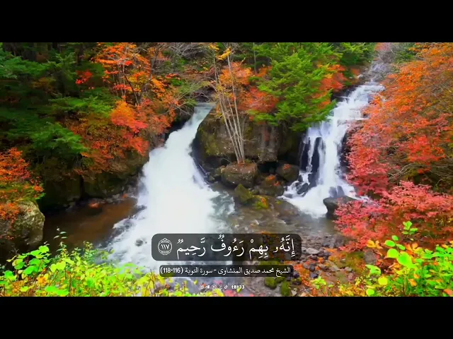 ⁣إِنَّ ٱللَّهَ لَهُۥ مُلۡكُ ٱلسَّمَـٰوَ ٰ⁠تِ وَٱلۡأَرۡضِۖ .. || الشيخ محمد صديق المنشاوي