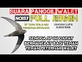Download Lagu SP TSPS (TARIK SENJA MIX PANGERAN SRIWIJAYA) #rbwsukses #maswalet #parfumwalet