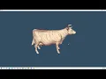 VTK Example - ContoursFromPolyData