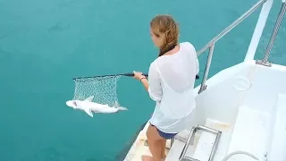 Ep.152 The vegetarian catches a shark