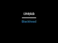 เหตุผล | Blackhead
