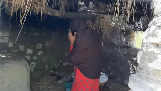 شاهد ما فعله الحاج مسعود في تفاحه   شاهد رد فعل تفاحه   لن تصدق ما فعله مسعود بها دندنها