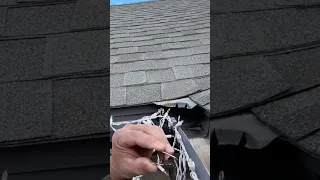 Best Easiest Way to hang Christmas lights outside EASY !