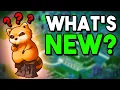 What s New In Build 42 A Project Zomboid Recap
