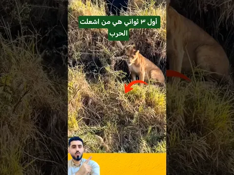 لو هاجمت مباشرة... لخسرت كل شيء#shorts