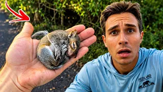 I Saved a Baby Squirrel that was ATTACKED by A Backyard MONSTER!