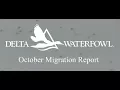 October Migration Report