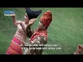 Download Lagu Lagu Karoja