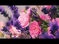 Download Lagu Music relaxes the nervous system, improves memory 🌿 Sergey Grischuk music