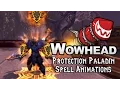 Legion Protection Paladin Spell Animations