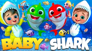 Baby Shark Finds a Treasure | Kids Nursery Rhyme | Kids Songs | Banana Cartoon #nurseryrhymes