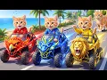 Mama Cat Trims Fur on the Farm and Makes Tiger Hat For Kittens At Home