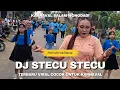 Download Lagu Perform DJ STECU STECU Karnaval Salam Wonodadi Blitar