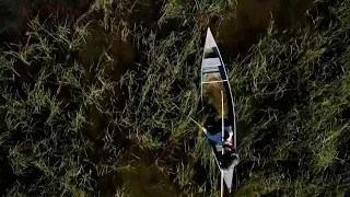 Wild Rice Season to Open for 2026