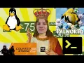 Host Dedicated Steam Game Servers with Linux - Palworld CS2 SteamCMD
